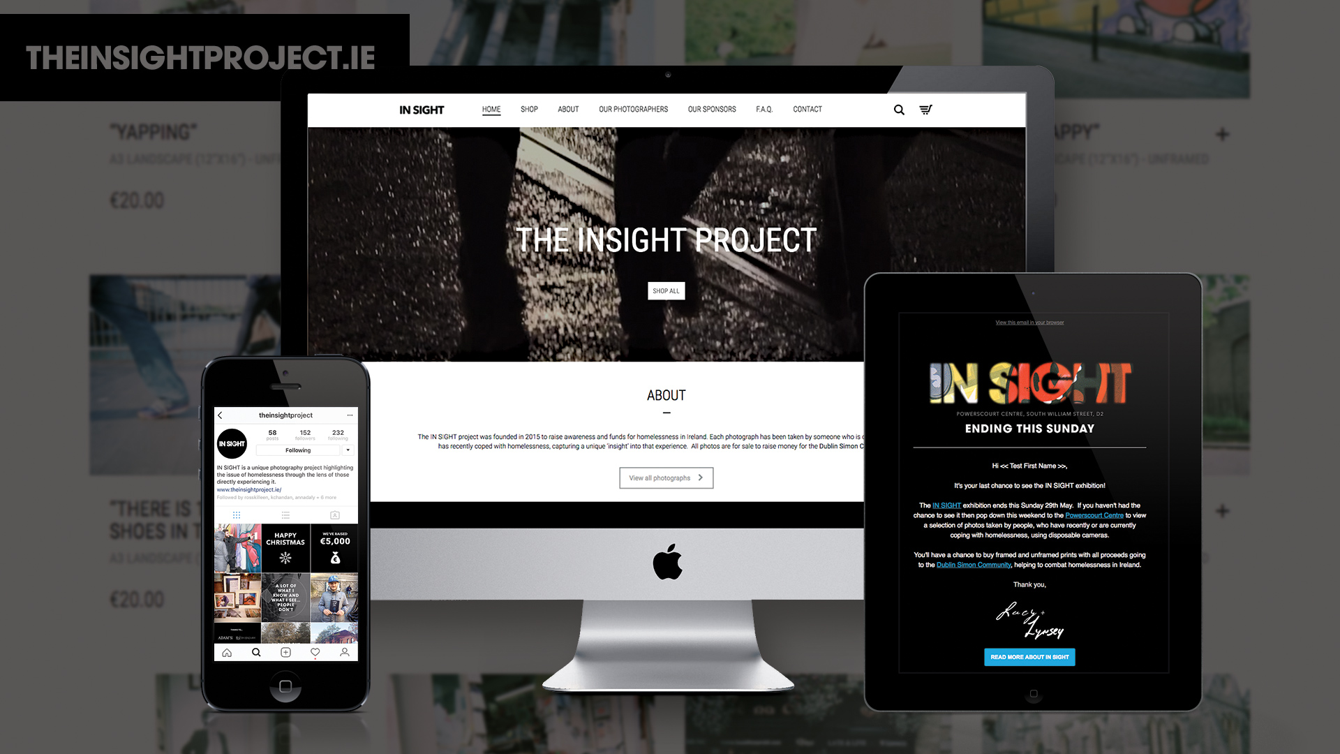 the-insight-project